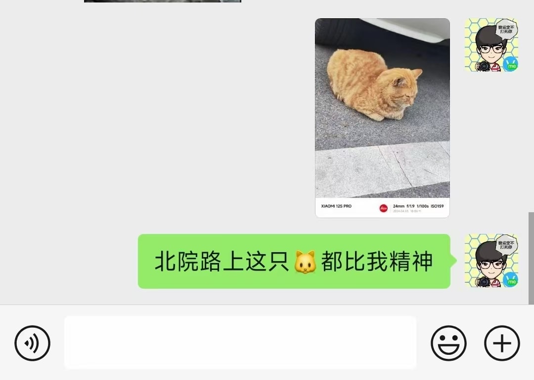 「北院路上这只🐱都比我有精神」